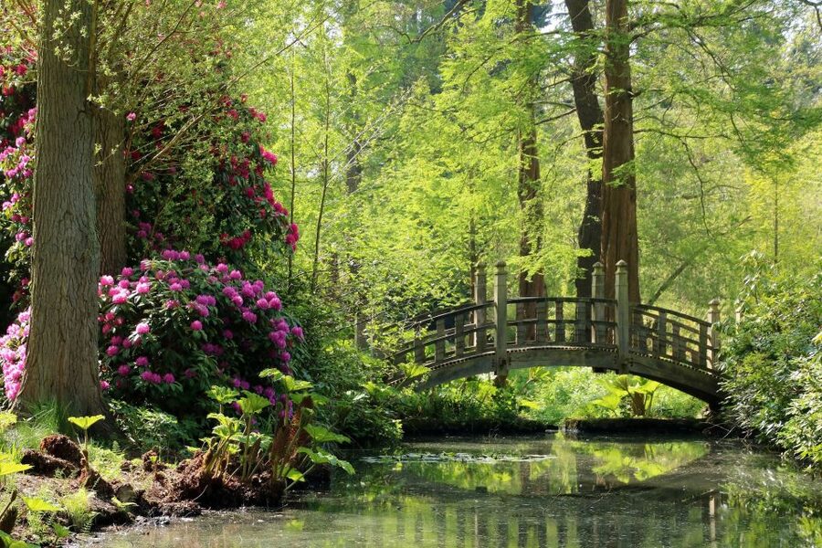 Birmingham: Winterbourne House and Garden Admission Ticket - Seven acres of gardens, not just a quick walk