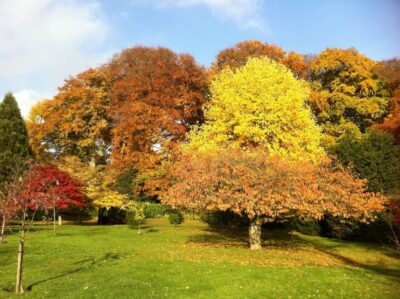 Birmingham: Winterbourne House and Garden Admission Ticket