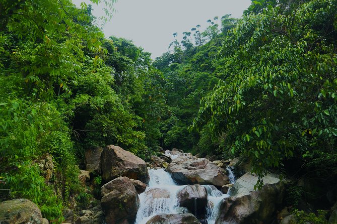 Bogor Botanical Garden & Rainforest Trekking to Hidden Waterfall - Why this Bogor day trip works from Jakarta