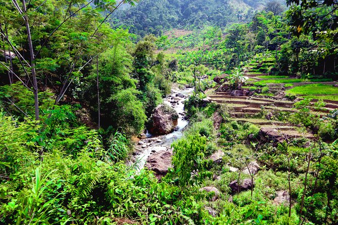 Bogor Botanical Garden & Rainforest Trekking to Hidden Waterfall - Two hours in Gede Pangrango National Park