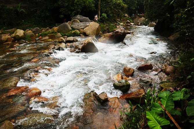 Bogor Botanical Garden & Rainforest Trekking to Hidden Waterfall - Cikaracak Waterfall after the muddy trail