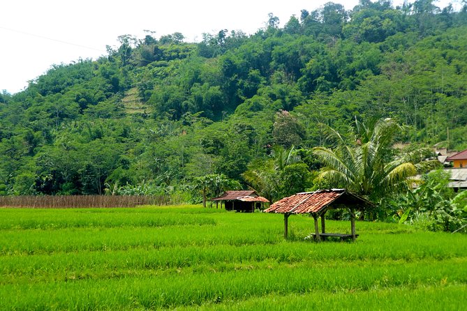Bogor Botanical Garden & Rainforest Trekking to Hidden Waterfall - Timing, pickup areas, and practical limits