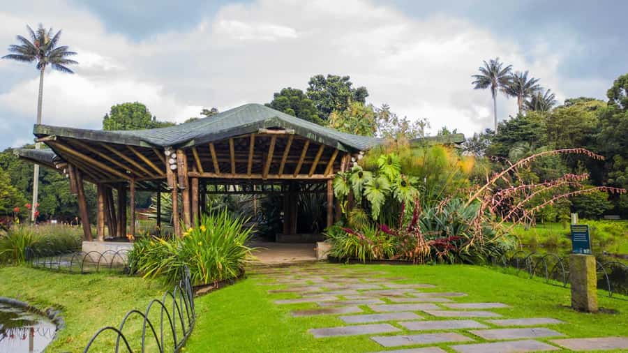 Bogotá: Jose Celestino Botanical Garden and Gudalupe Hill - Key things to know before you go