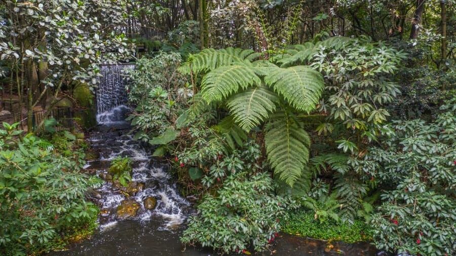 Bogotá: Jose Celestino Botanical Garden and Gudalupe Hill - Timing, comfort, and who will enjoy it
