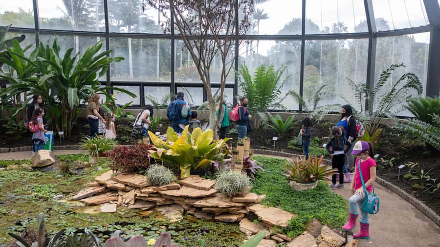 Bogotá: Jose Celestino Botanical Garden and Gudalupe Hill - The 5,000-orchid centerpiece