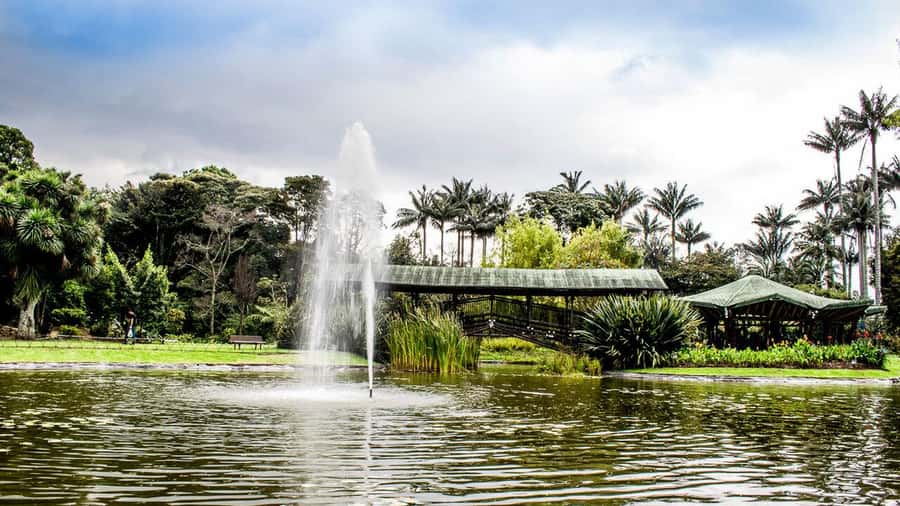 BOGOTA: Visit to the Botanical Garden and Ugly Betty's House - Should you book the Bogotá garden and Betty’s house tour?