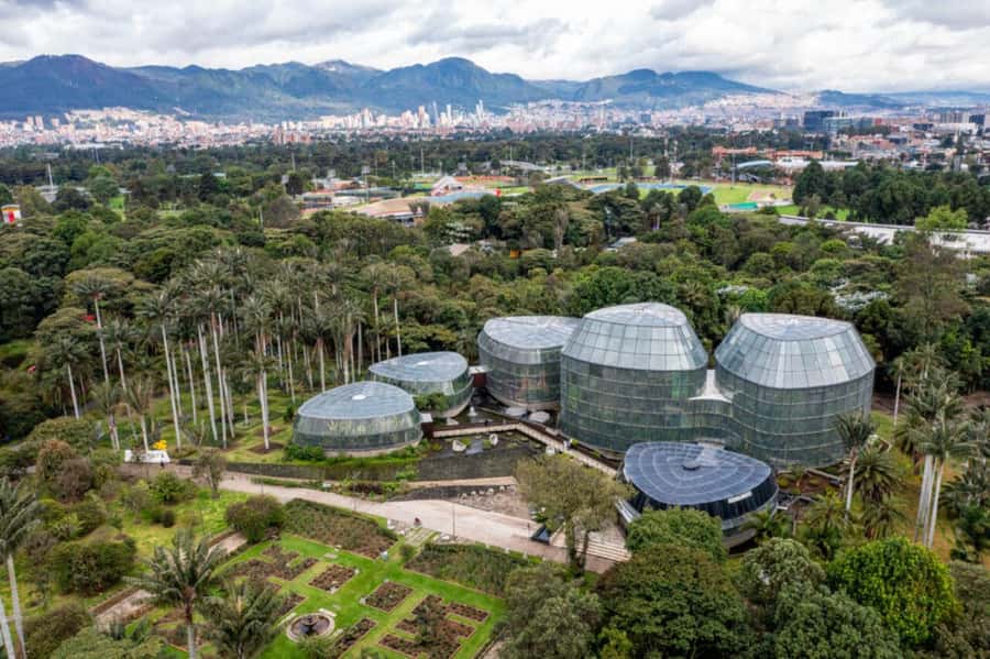 BOGOTA: Visit to the Botanical Garden and Ugly Betty's House - The José Celestino Mutis Botanical Garden