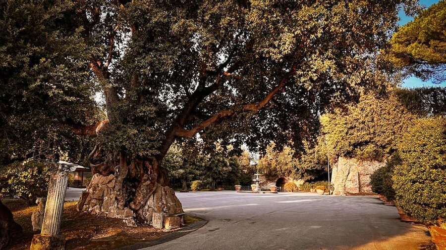 Borgo Laudato Sì - Villa Barberini Gardens - Key points to know before you go
