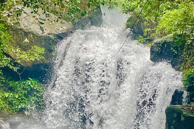 Botanic Garden - Paradise Cave - Zipline - Mudbath at Dark Cave - Morning trails at Phong Nha Botanical Garden