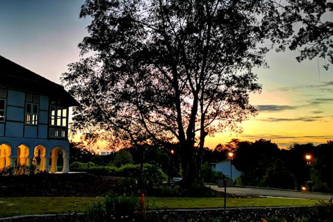 Botanic Gardens & Tiong Bahru Walking Tour with Breakfast - Why this route gives you a fuller Singapore morning