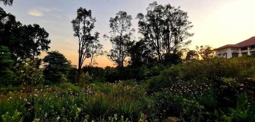 Botanic Gardens & Tiong Bahru Walking Tour with Breakfast - Booking flexibility and practical details