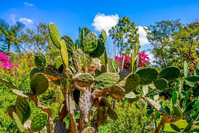 Botanical Garden: Private Day Trip of Flora & Fauna in Vallarta. - The jewelry workshop and comfort stop