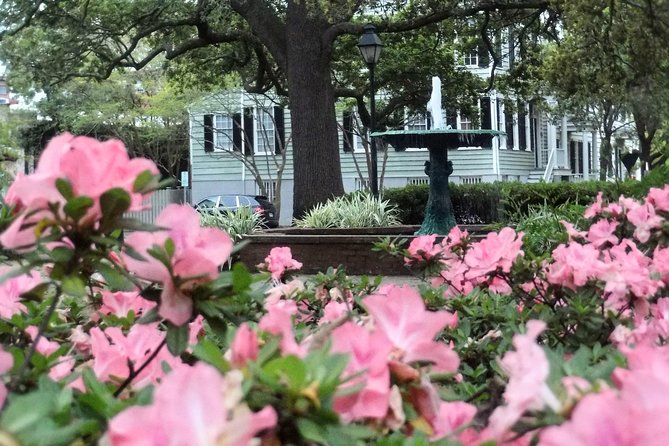 Botanical Tour (by Walk With Me Savannah Tours) - The Andrew Low House garden connects plants with Juliette Gordon Low