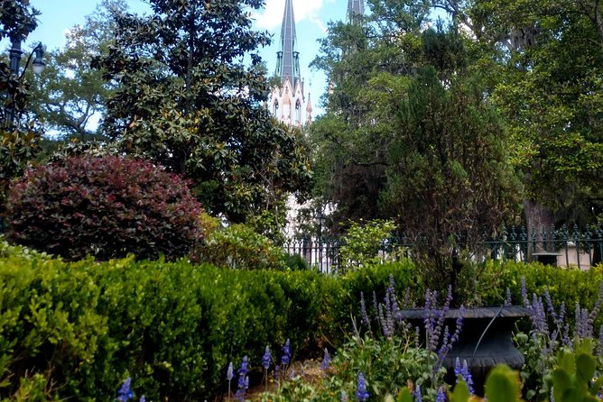 Botanical Tour (by Walk With Me Savannah Tours) - Madison Square slows the pace with a long plant list