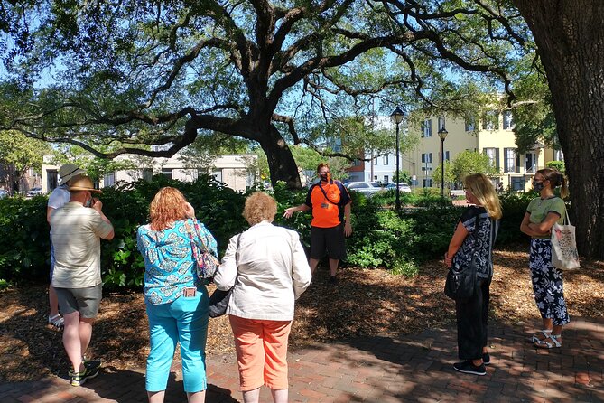 Botanical Tour (by Walk With Me Savannah Tours) - Jones Street shows the city’s private gardens
