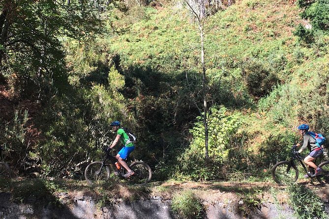 Botanical Trails of Madeira. Mountain biking Trail Experience - From Caniço to Poiso at 1,400 meters