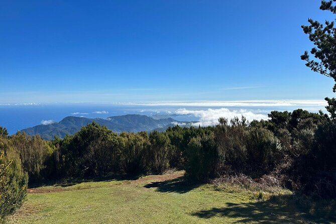 Botanical Trails of Madeira. Mountain biking Trail Experience - Camacha brings a local pause