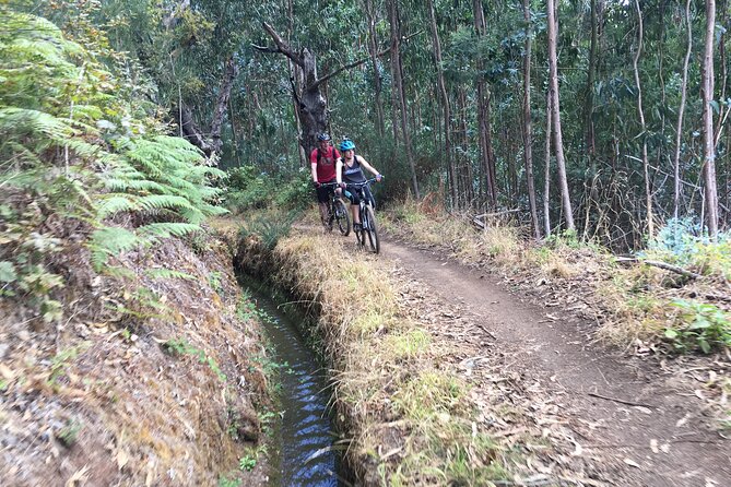 Botanical Trails of Madeira. Mountain biking Trail Experience - What the guide adds to the ride