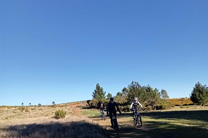 Botanical Trails of Madeira. Mountain biking Trail Experience - How difficult is the beginner route?