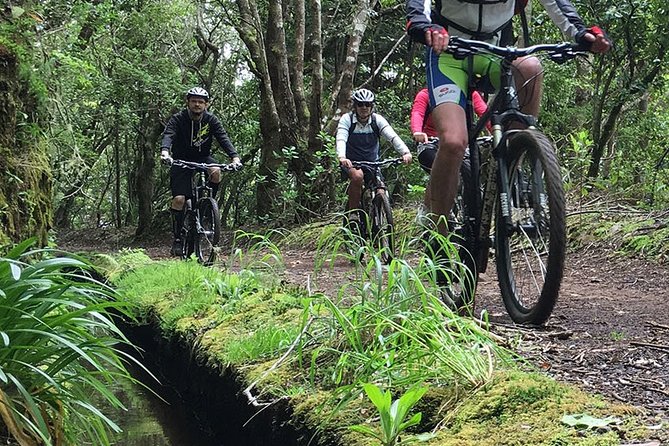 Botanical Trails of Madeira. Mountain biking Trail Experience - Choosing between single trails and easier roads