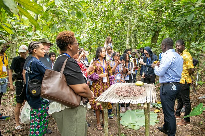 Boti Falls, Botanic Gardens, Cocoa Fam, Umbrella Rock Experience - How this Eastern Region day trip fits together