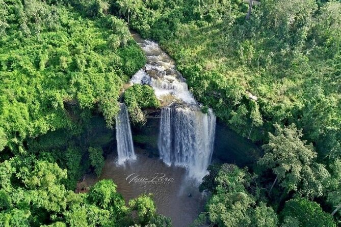 Boti Falls, Umbrella Rock, Aburi Gardens & Cocoa Farm Day Tour - Umbrella Rock and the three-headed palm