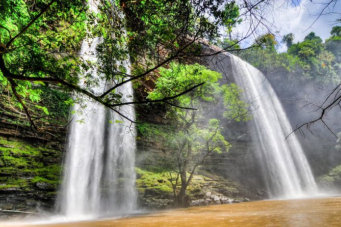 Boti Falls, Umbrella Rock, Aburi Gardens & Cocoa Farm Day Tour - Aburi Botanical Gardens: a calmer two hours