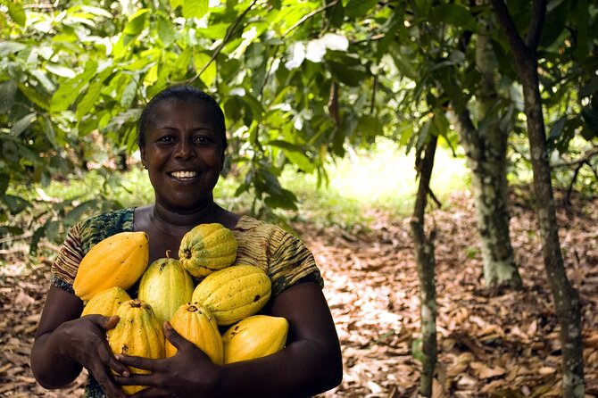 Boti Falls, Umbrella Rock, Aburi Gardens & Cocoa Farm Day Tour - Boti Falls: twin cascades and a forest walk