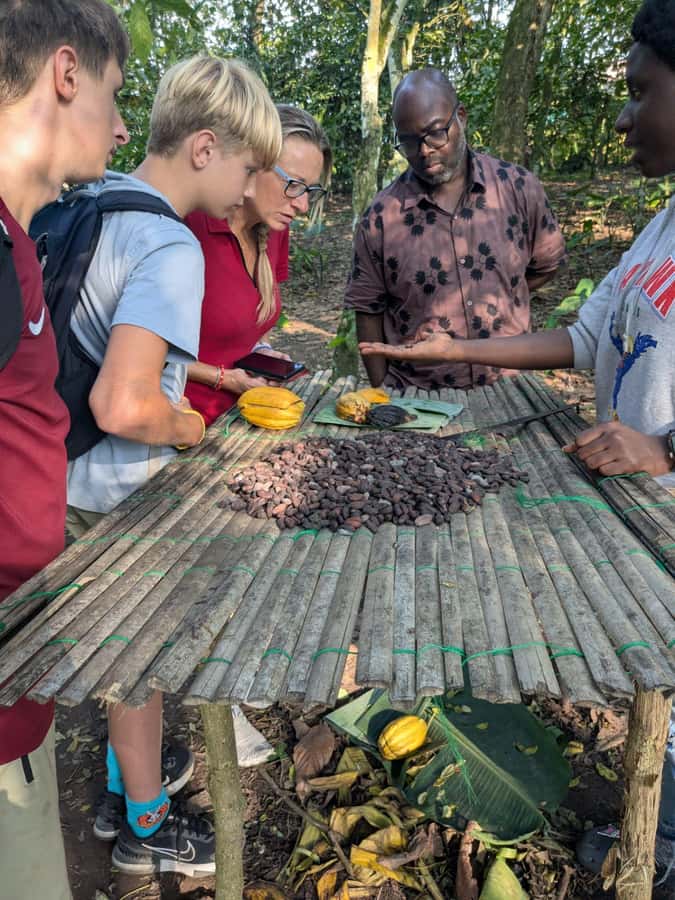 Boti Falls, Umbrella Rock, Aburi Gardens & Cocoa Farm Tour - Boti Falls: the day’s main natural attraction