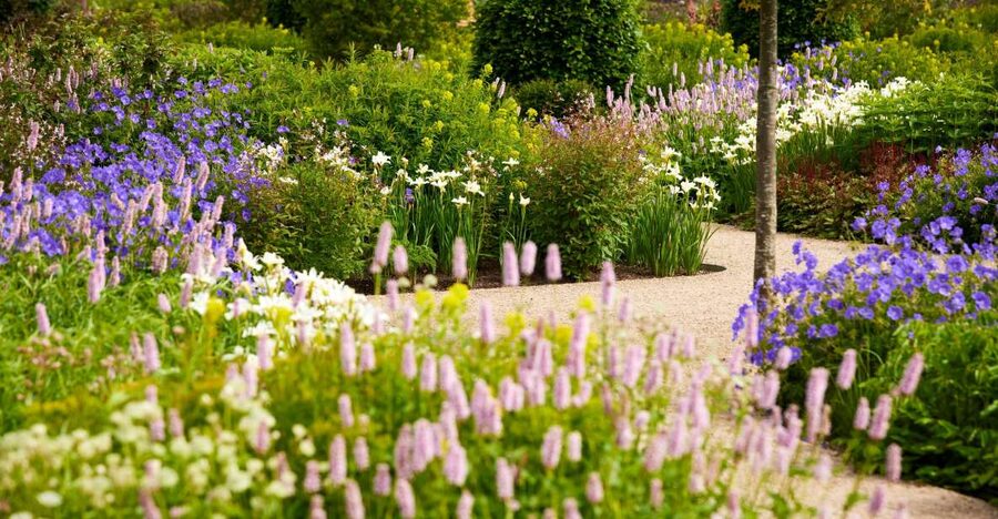 Bridgewater: Royal Horticultural Society Garden Ticket - A former estate turned into a major garden