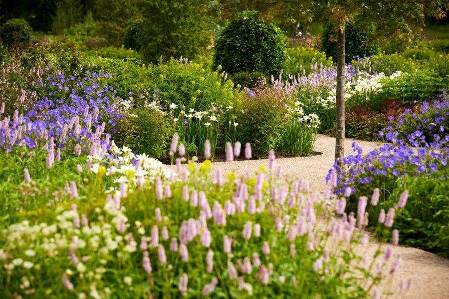 Bridgewater: Royal Horticultural Society Garden Ticket - Paradise Garden brings two traditions together