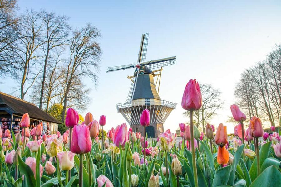 Brussels: Holland Keukenhof & Kinderdijk Guided Day Tour - The 1.5-hour transfer to Keukenhof