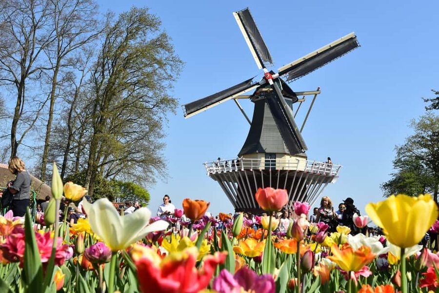 Brussels: Holland Keukenhof & Kinderdijk Guided Day Tour - How the guide affects the experience