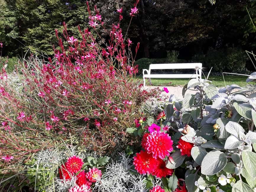 Budapest: Best Gardens Walking Tour & Folk Music Performance - Why a garden tour works so well in Budapest
