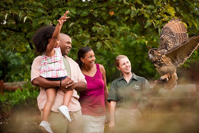 Busch Gardens Williamsburg Admission Ticket - Shows that give your legs a break
