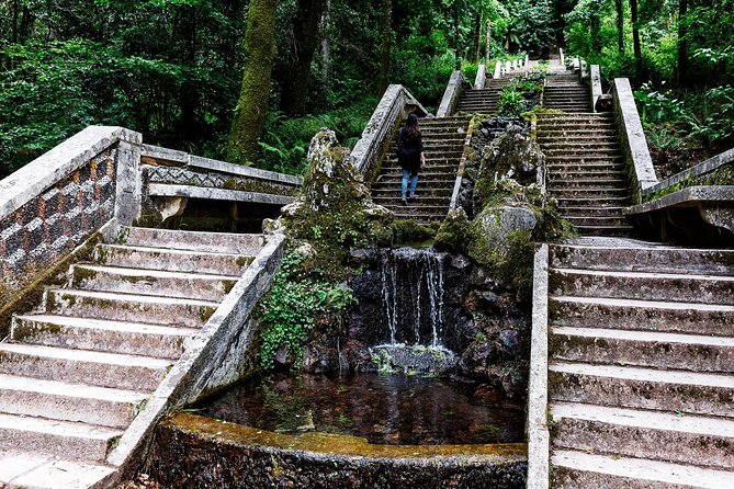 Bussaco Palace, Gardens & Forest | Private Tour - Entering Bussaco Palace and its gardens