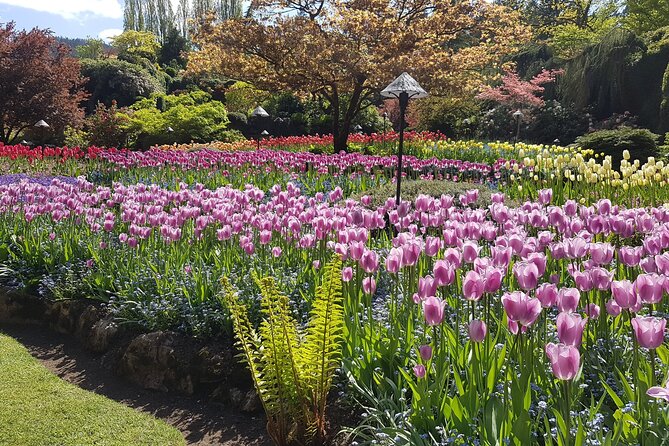 Butchart Gardens and City Highlights Private tour - The Empress Hotel: a polished finish