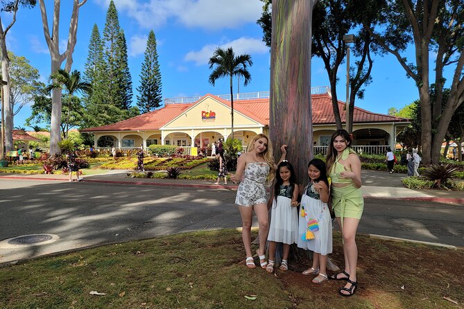 Byodo Temple and Waimea Botanical Garden Tour - Diamond Head and the southeast coast