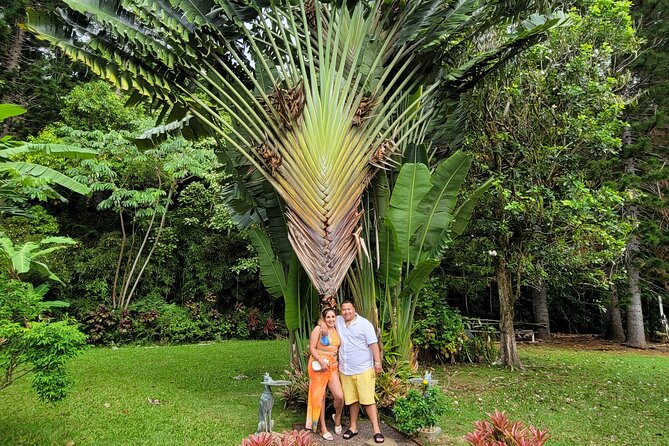 Byodo Temple and Waimea Botanical Garden Tour - Waimea Valley: the day’s biggest stop