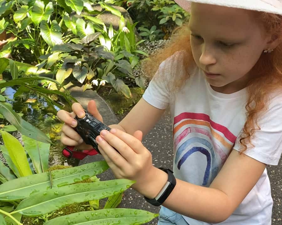 Cairns: Insect Photography Tour of Cairns Botanic Gardens - Who should book this experience?