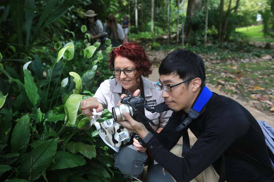 Cairns: Insect Photography Tour of Cairns Botanic Gardens - Learning from Bridgette and Ros