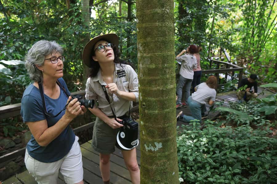Cairns: Insect Photography Tour of Cairns Botanic Gardens - Hiring a camera package on the day