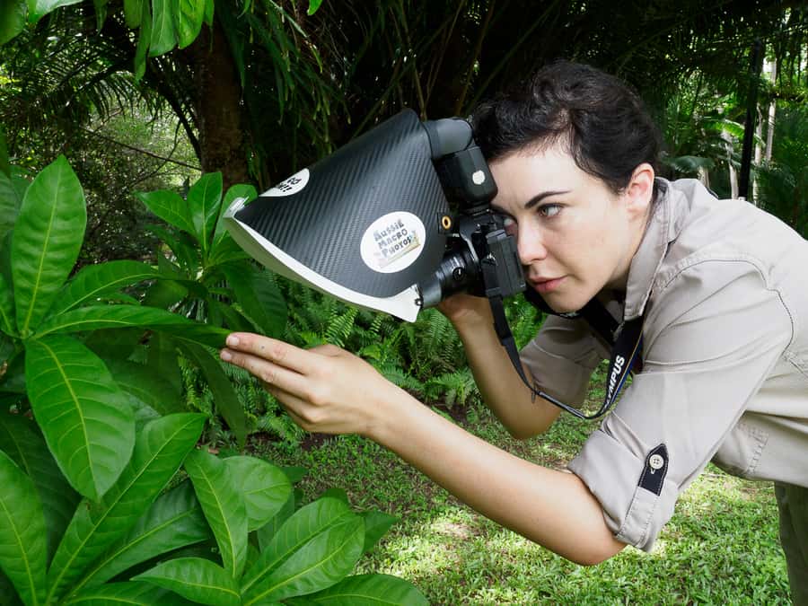 Cairns: Insect Photography Tour of Cairns Botanic Gardens - Is $56 good value?
