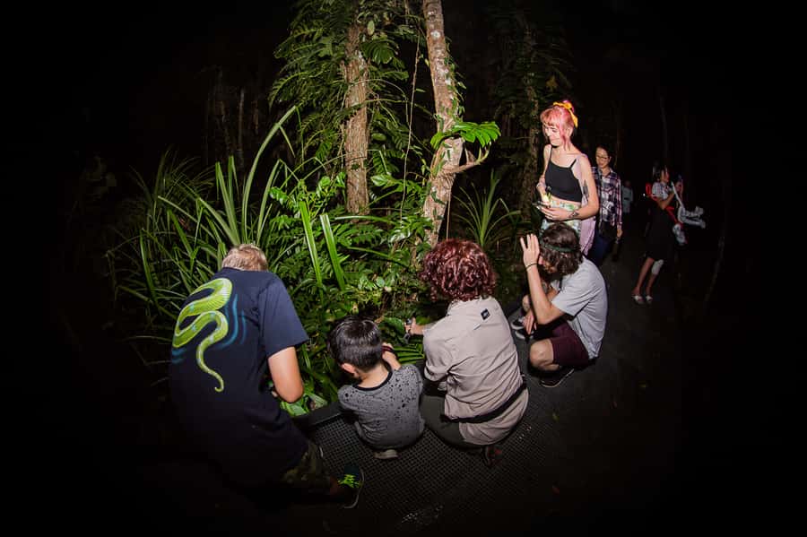 Cairns: Night Walk in Cairns Botanic Gardens - Who will enjoy this most