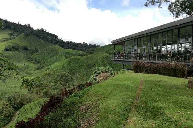 Cameron Highlands, Garden of Nature Full Day Private Guided Tour - The mountain road to Lata Iskandar Waterfall