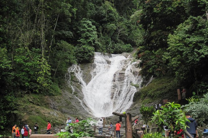 Cameron Highlands, Garden of Nature Full Day Private Guided Tour - The private vehicle and what it changes