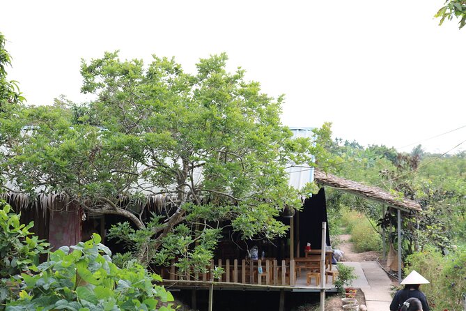 Can Tho day tour: fruit garden&floating fish farm in Son islet - What the $53 Price Delivers