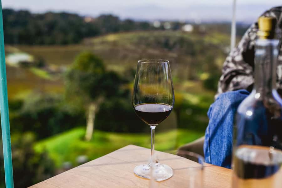 Cape Town: Constantia Half-Day Wine Tour & Tastings - Beau Constantia brings a modern hillside mood