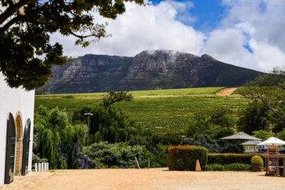 Constantia Half-Day Wine Tour & Tastings