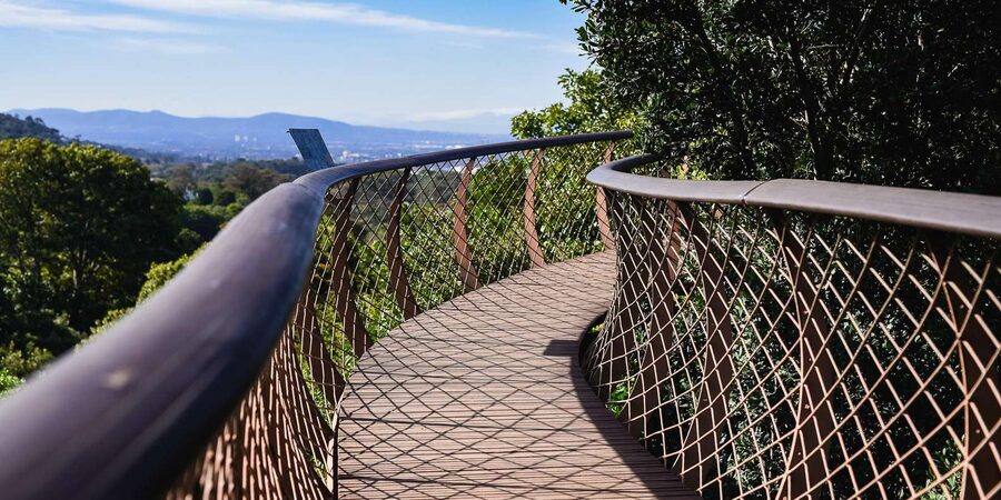 Cape Town: Constantia Half-Day Wine Tour & Tastings - What the $115 price really covers